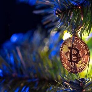 Майнинг Bitcoin — прибыльно ли это в 2024 году?